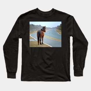 Assateague Pony Looking Down the Road Long Sleeve T-Shirt